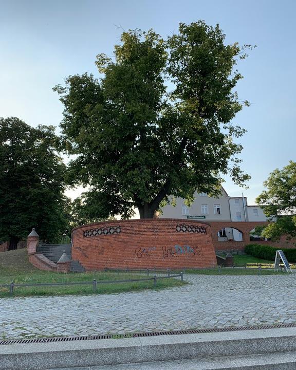 Zur Wichmannlinde