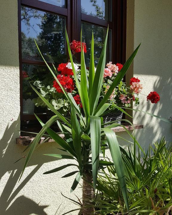 Carwitz Eck