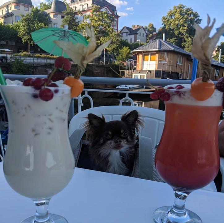 Cafe Restaurant Schlott