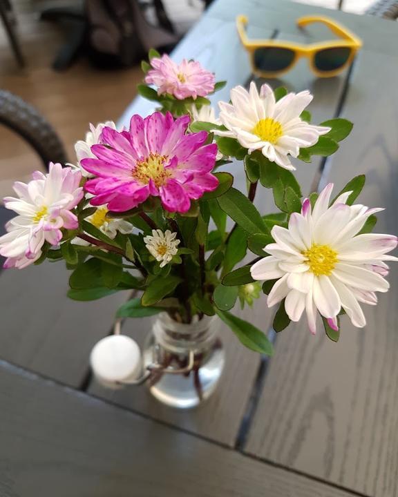 Café Alsterwiesen