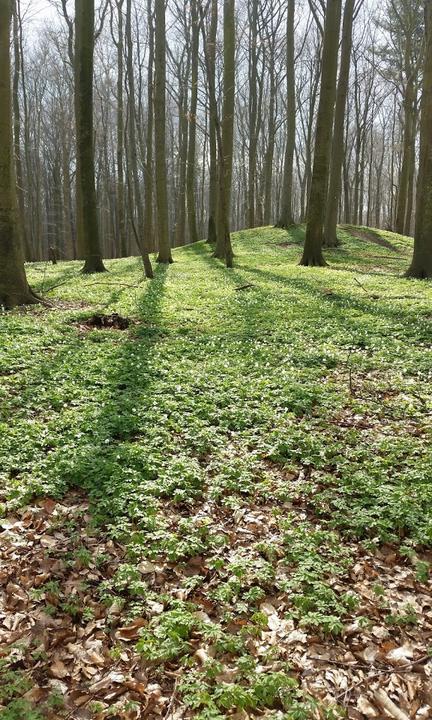 Alte Liebe Strandimbiss