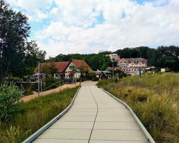 Stranddistel Kolpinsee