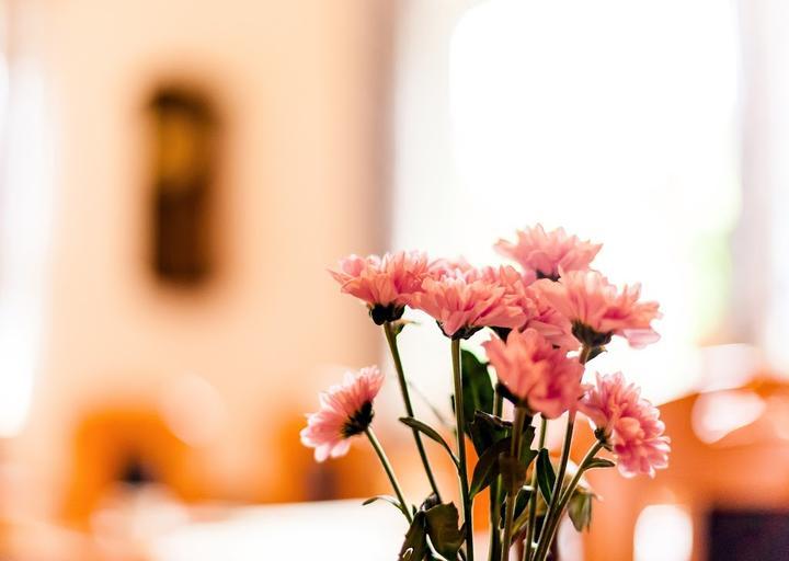 Meyers Hofcafe und Pension