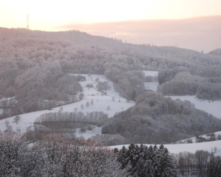 Cafe Konditorei Gasthaus Zur Ludwigshohe