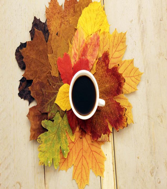Cabana Coffee Roasters