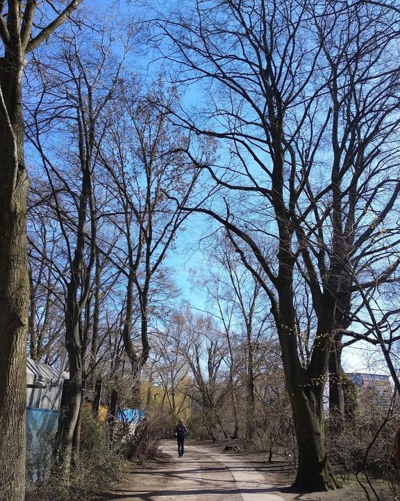 Biergarten Jockel Kreuzberg