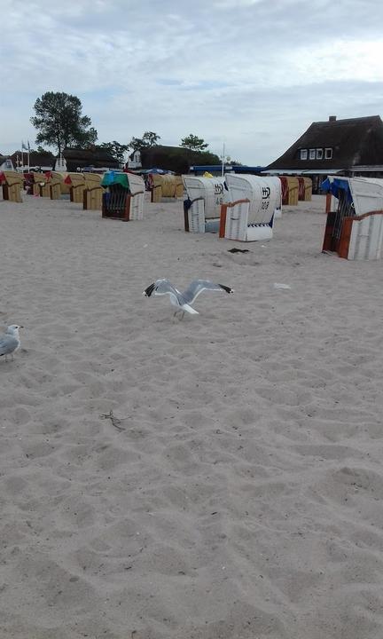 Strandbahr24