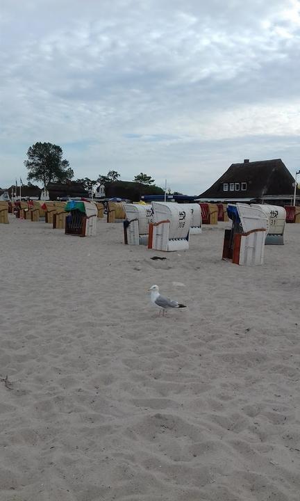 Strandbahr24