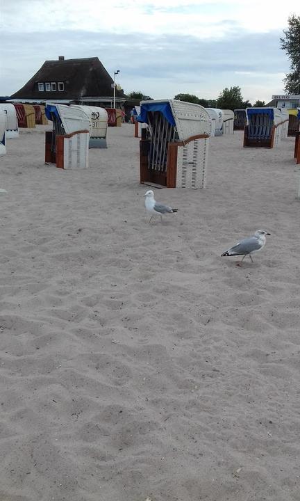 Strandbahr24