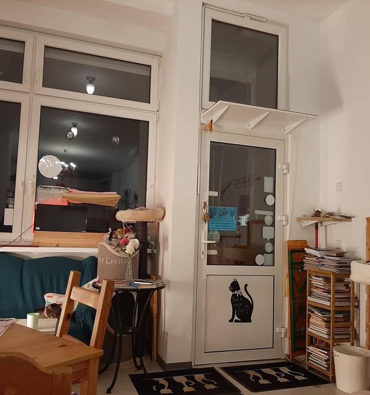 Pee Pees Katzencafe