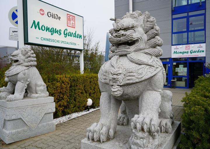 Mongus Garden