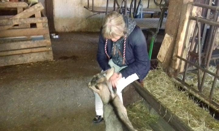 Ziegenkäserei & Wiesencafé Karolinenhof