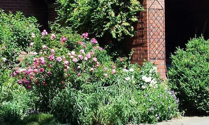 Ziegenkäserei & Wiesencafé Karolinenhof