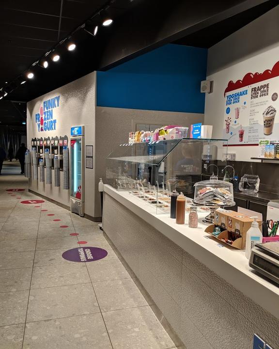 Frozen Yogurt and more