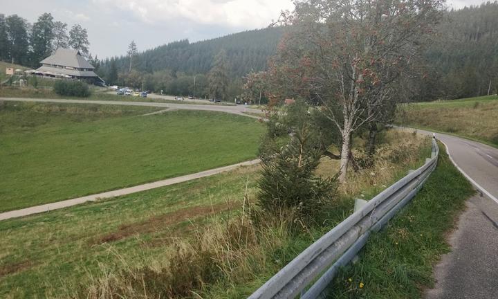Holzschlagermatte