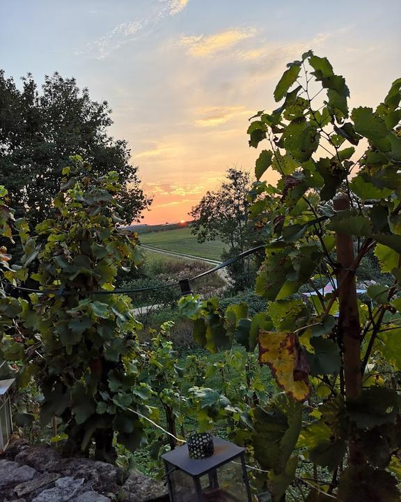 Weingut-Gutsausschank Zimmer