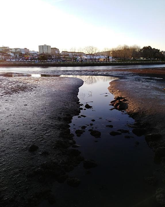 Moma Bar & Shisha Lounge