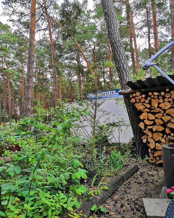 Waldgaststatte Zur Quelle Am Springsee