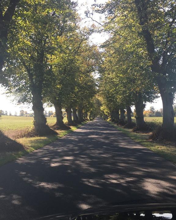 Kleine Schorfheide