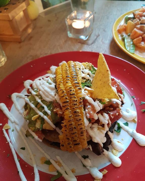 The Vegan Eagle