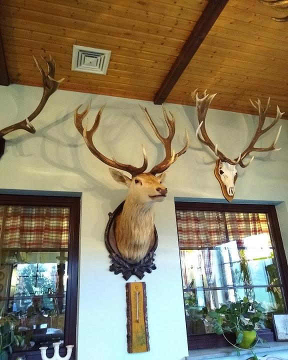 Wildgaststäette & Pension Kleine Föersterei