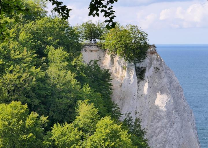 Wildgaststäette & Pension Kleine Föersterei