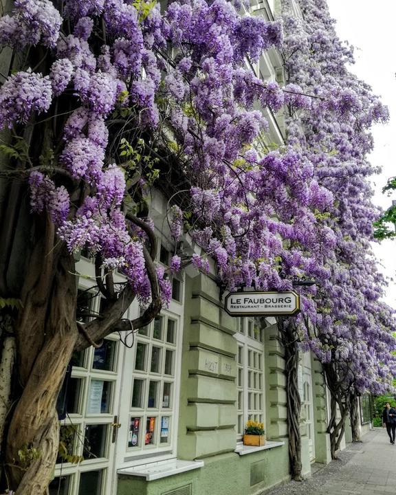 Le Faubourg