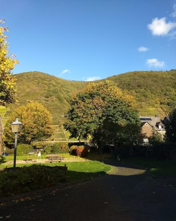 Steinfelder Hof
