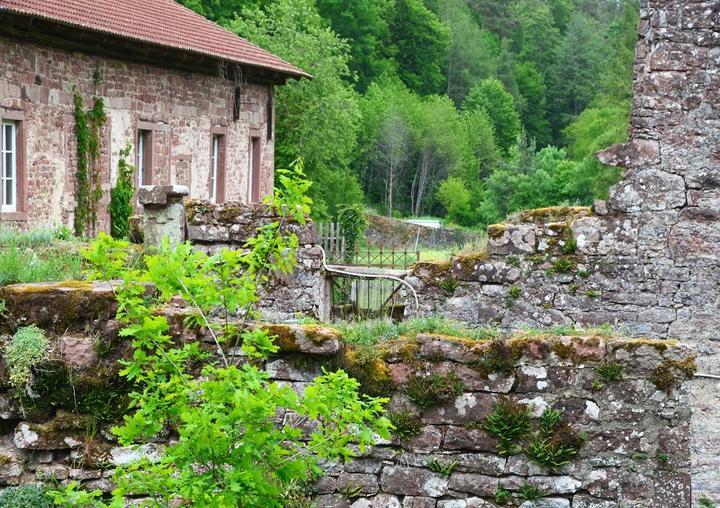 Kartause Grünau