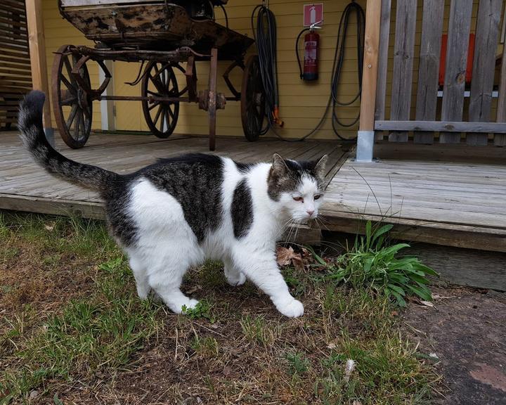 Cafe Drei Jahreszeiten