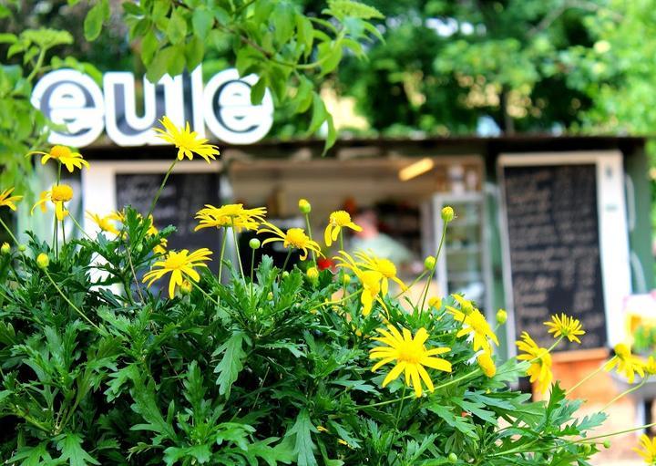 Cafe Eule Im Gleisdreieck