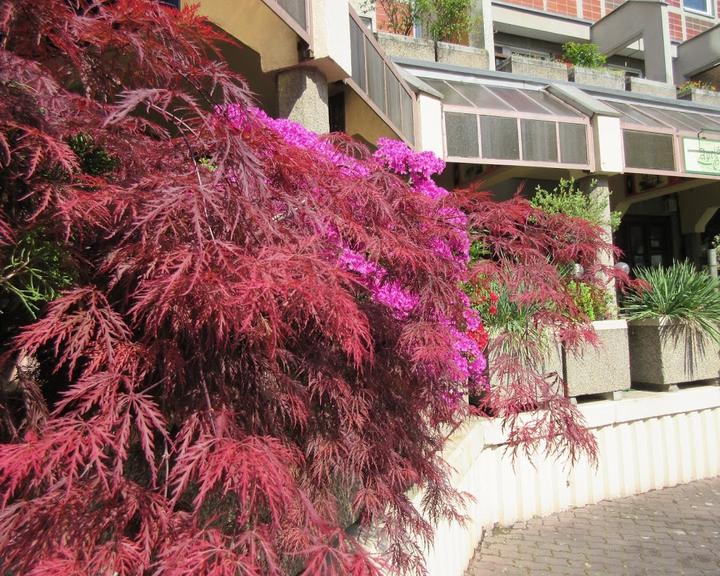 Apels Garten