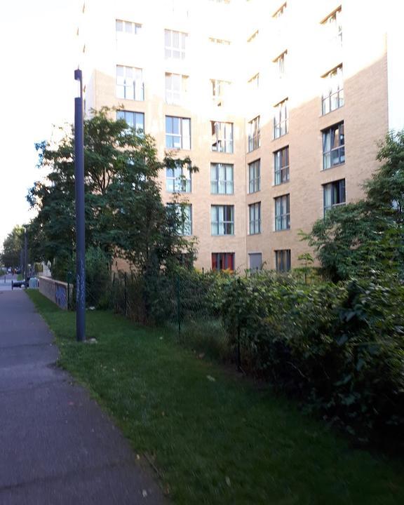 Oderquelle