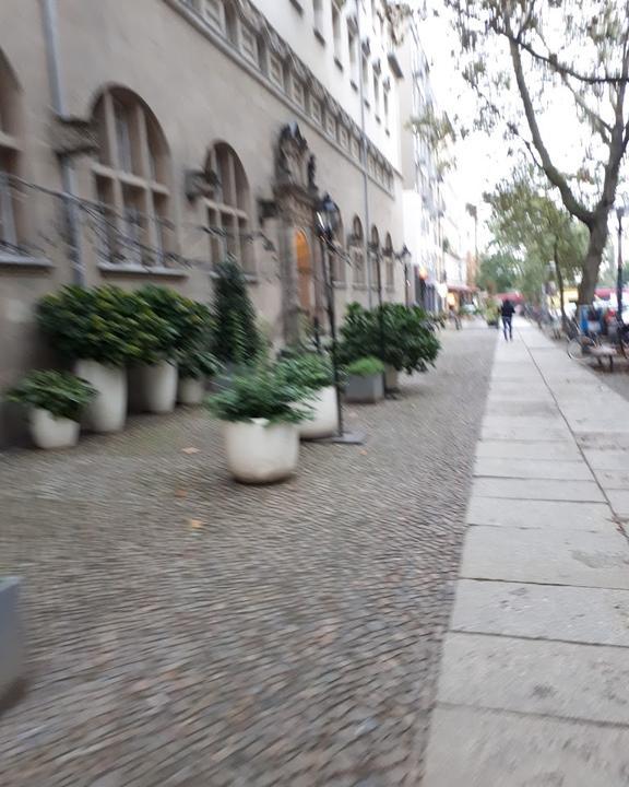 Oderquelle