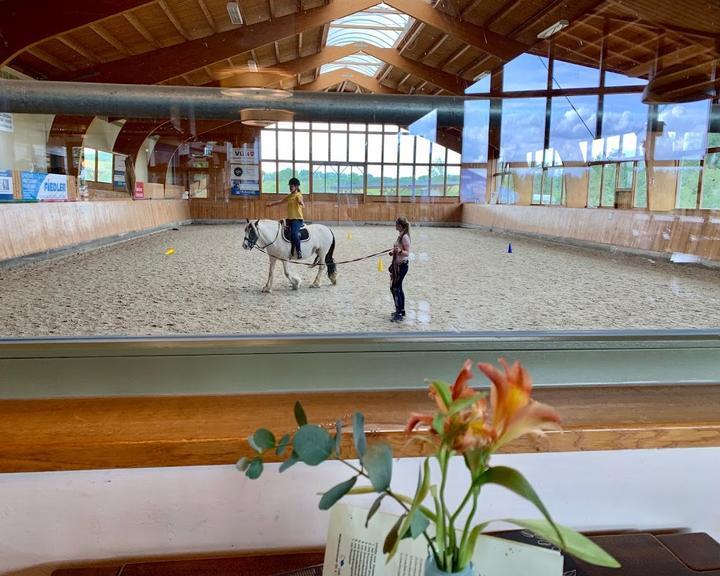 Wellenreiter