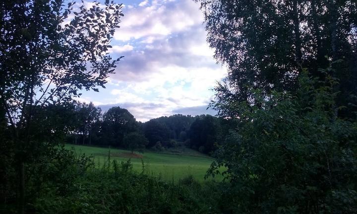 Collis Am Gessenbach