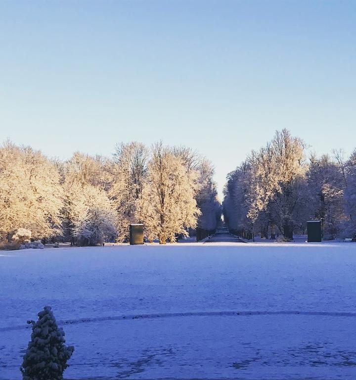 Ludwigsluster Schloss-Cafe