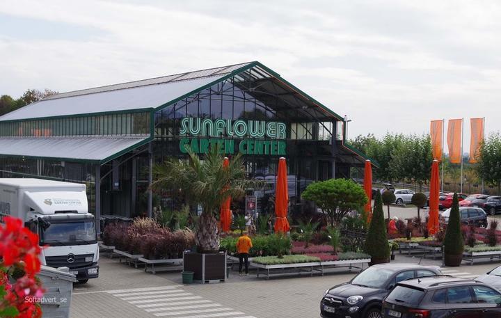 Sunflower Gartencenter