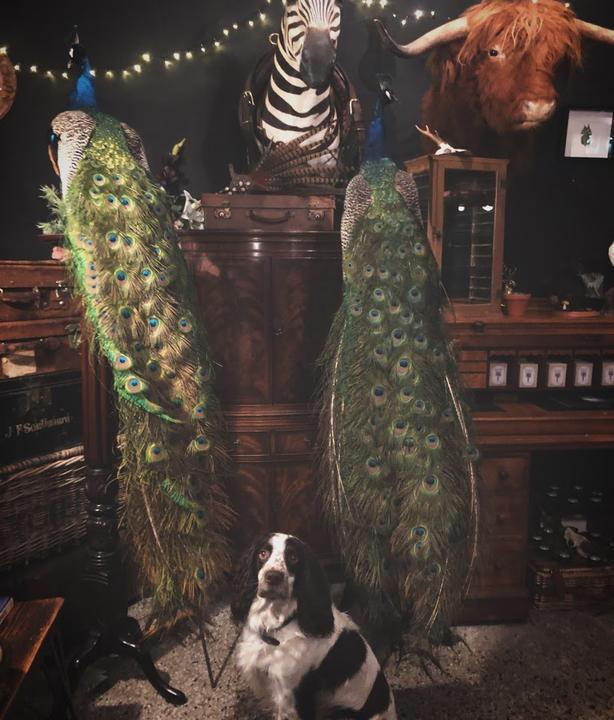 Maiden, Mother and Crone