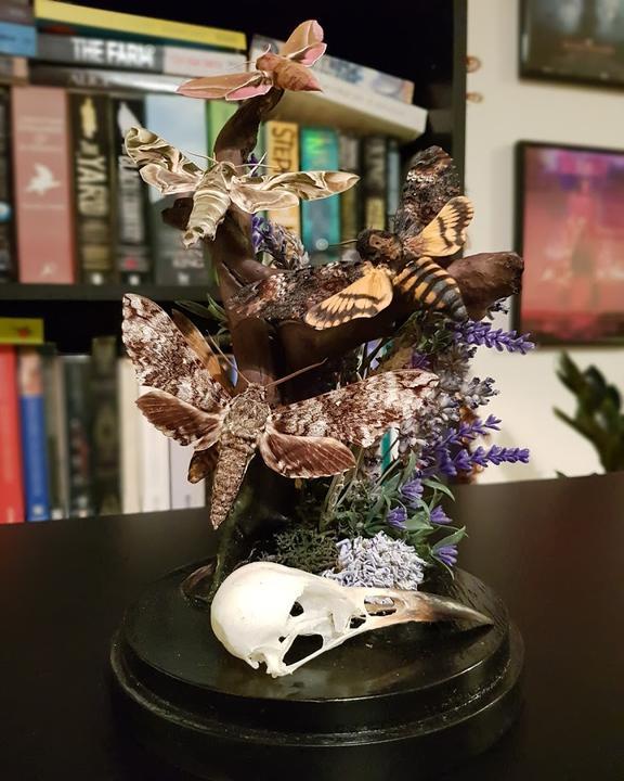 Maiden, Mother and Crone