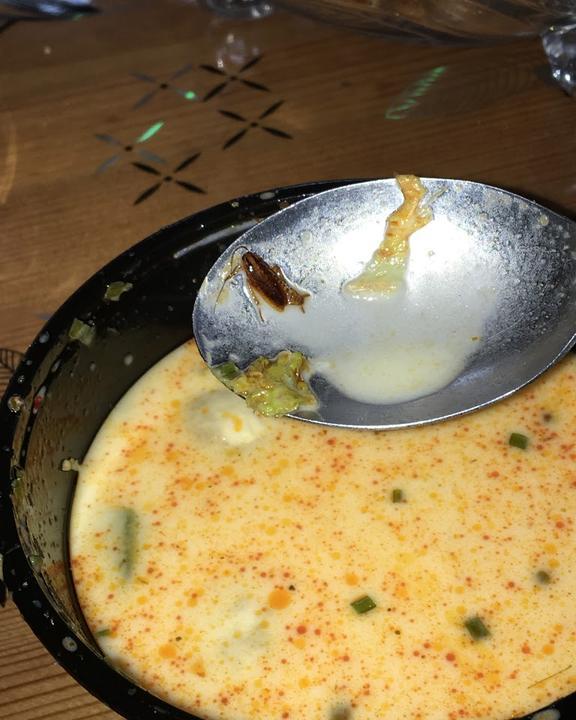 Asia Gourmet