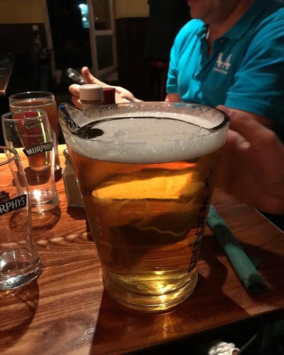Fox and Hound