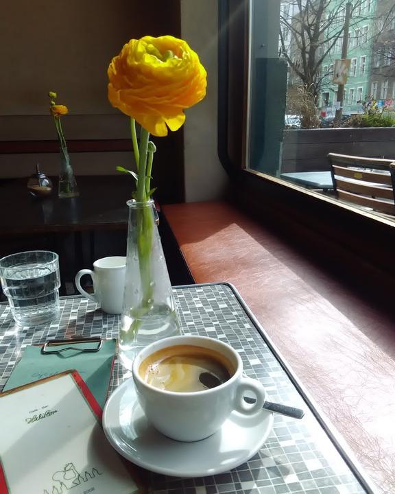 Haliflor Cafe Bar