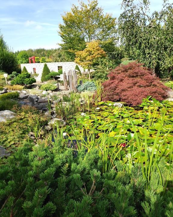 Hollweger Traumgarten Cafe