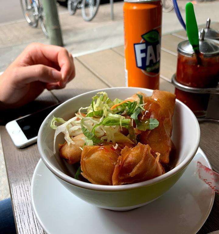 Bat Viet