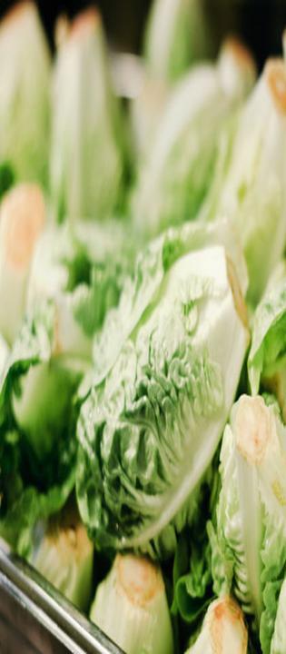 Chupenga Burritos & Salads