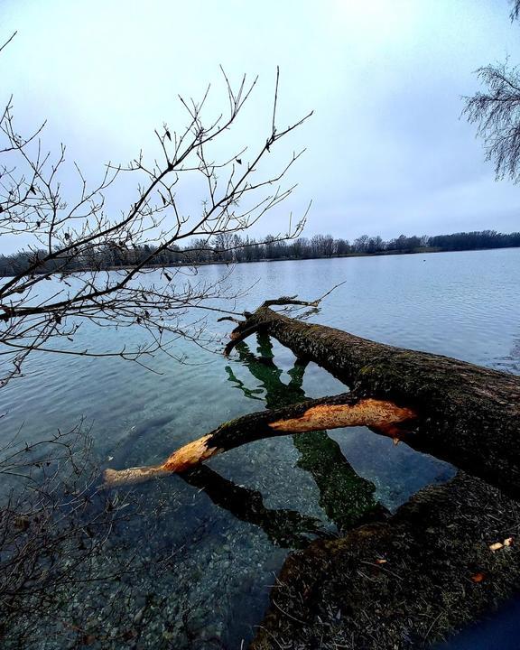 Fasaneriesee