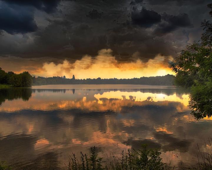 Fasaneriesee