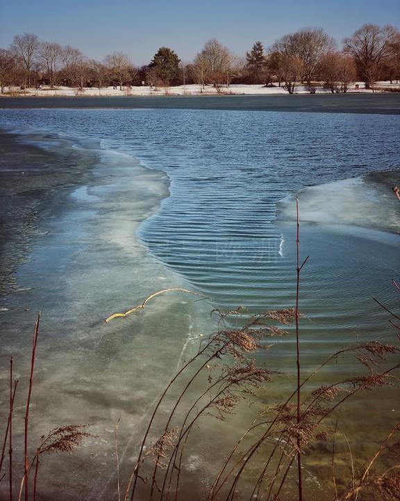 Fasaneriesee