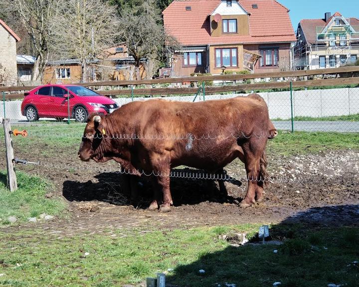 Brockenbauer Thielecke